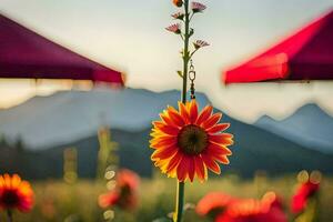 sunflower in the field. AI-Generated photo