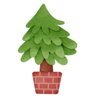 Christmas tree in pot png