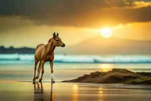 un caballo es caminando en el playa a puesta de sol. generado por ai foto