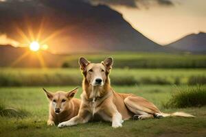 dos perros sentado en el césped a puesta de sol. generado por ai foto