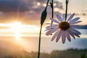 a single daisy is in front of the sun. AI-Generated photo