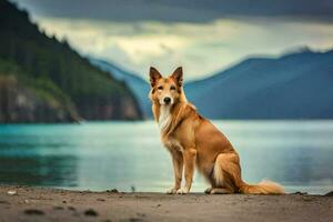 a dog sitting on the beach near a lake. AI-Generated photo