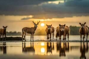 a herd of deer stand in the water at sunset. AI-Generated photo