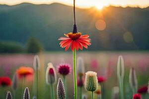 a flower is in the middle of a field with the sun setting behind it. AI-Generated photo