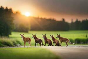 un grupo de ciervo caminando en un la carretera a puesta de sol. generado por ai foto