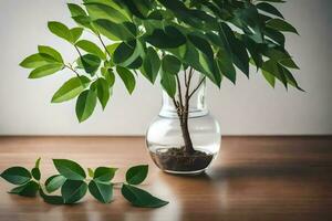 un pequeño planta en un florero en un mesa. generado por ai foto