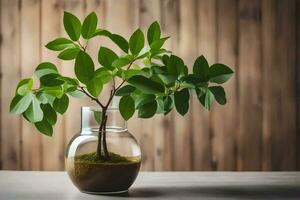 a small plant in a vase on a table. AI-Generated photo