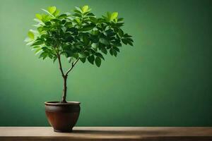 un pequeño planta en un maceta en un mesa. generado por ai foto