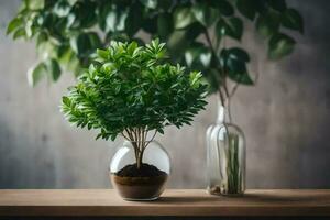 un en conserva planta en un vaso florero en un mesa. generado por ai foto