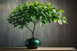 a bonsai tree in a pot on a table. AI-Generated photo