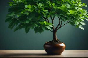 bonsai tree in a pot on a table. AI-Generated photo