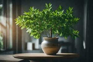 a potted plant sits on a table in front of a window. AI-Generated photo