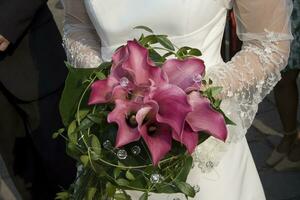 wedding flower pink photo