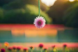 un rosado flor colgando desde un cuerda en un campo. generado por ai foto