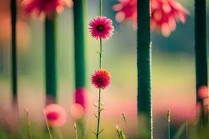 pink flowers in the middle of tall grass. AI-Generated photo