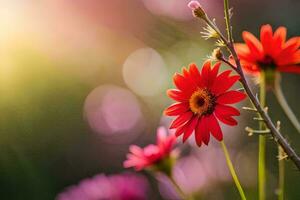 red flowers in the sun with blurred background. AI-Generated photo