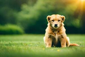 un perrito sentado en el césped en un soleado día. generado por ai foto