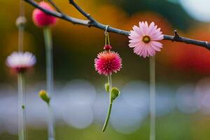 flowers hanging from a tree branch. AI-Generated photo