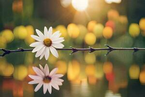 a single daisy is sitting on a branch with water in the background. AI-Generated photo