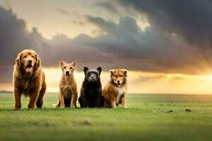 un grupo de perros en pie en un campo. generado por ai foto