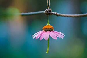 a pink flower hanging from a wire. AI-Generated photo