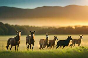 a group of horses running in the field at sunset. AI-Generated photo