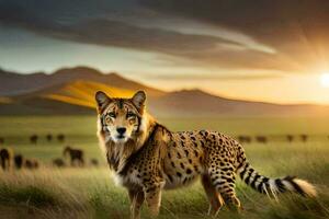 a cheetah is standing in the grass at sunset. AI-Generated photo