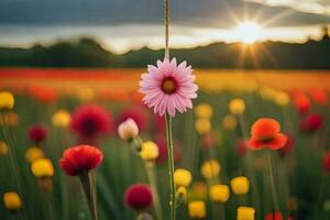 a pink flower is in the middle of a field. AI-Generated photo