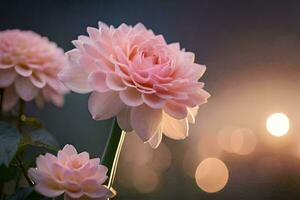 pink flowers in the sun with a bokeh background. AI-Generated photo