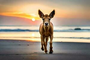 a small brown animal walking on the beach at sunset. AI-Generated photo