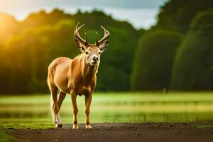 a deer stands in the middle of a field. AI-Generated photo