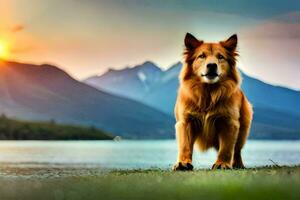 a dog standing on the grass in front of a lake. AI-Generated photo