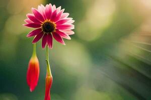 a single pink flower is standing in front of a green background. AI-Generated photo