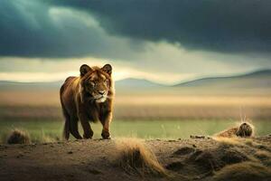 león caminando en el llanuras. generado por ai foto