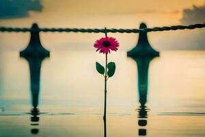 a single flower is sitting in the water next to a rope. AI-Generated photo