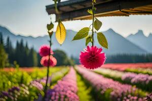 a flower field with pink and purple flowers. AI-Generated photo