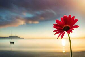 un rojo flor soportes en frente de un barco a puesta de sol. generado por ai foto