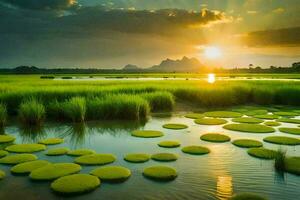 the sun sets over a marshy field with green plants. AI-Generated photo