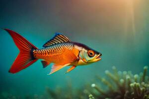 a fish with bright orange and black fins. AI-Generated photo