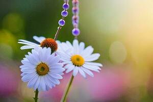 two white daisies with purple flowers in the sun. AI-Generated photo