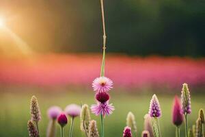 flores en un campo con el Dom brillante. generado por ai foto