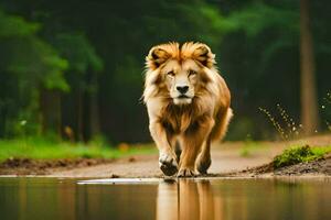 a lion walking across a wet road. AI-Generated photo