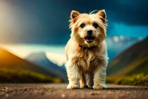 a dog standing on a road in front of mountains. AI-Generated photo