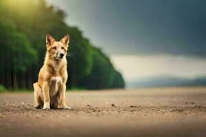 a dog sitting on the road in front of trees. AI-Generated photo