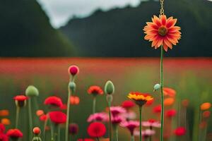 a flower field with a single flower in the middle. AI-Generated photo