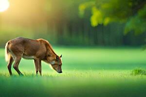 a deer is grazing in the grass. AI-Generated photo