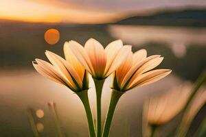 dos flores son en frente de un lago a puesta de sol. generado por ai foto