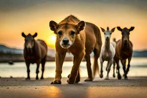 un grupo de caballos caminando en el playa a puesta de sol. generado por ai foto