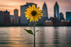 a sunflower in the water with a city skyline in the background. AI-Generated photo