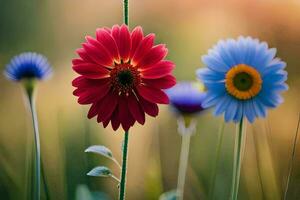 three colorful flowers are standing in a field. AI-Generated photo